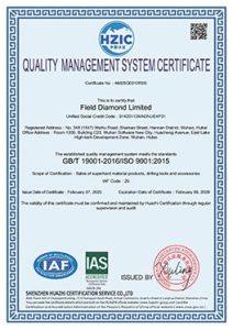 Exposition（images 11）