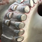 From Abrasive Formations to PDC Bit Refurbishment: Field Diamond Receives Global Recognition