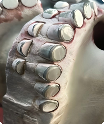 От абразивных образований до восстановления долот Pdc... От абразивных образований до восстановления долот PDC...